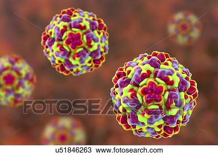 Stock Image - Rhinovirus, computer illustration. The rhinovirus infects the upper respiratory tract and is the cause of the common cold. It is spread by coughs and sneezes.. Fotosearch