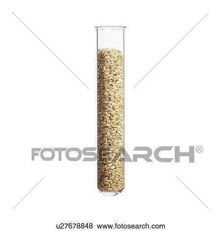 Stock Photo - Rice in test tube, studio shot.. Fotosearch