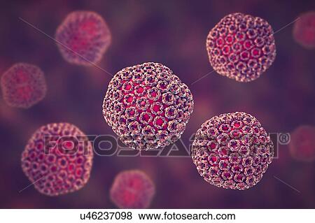 Stock Photo - Rift Valley fever virus particles, computer illustration. This virus particle consists of an RNA (ribonucleic acid) genome enclosed in a protein capsid, which is itself surrounded by a glycoprotein envelope. Rift Valley fever occurs in Africa,.... Fotosearch