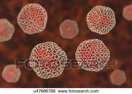 Stock Photo - Rift Valley fever virus particles, computer illustration. This virus particle consists of an RNA (ribonucleic acid) genome enclosed in a protein capsid, which is itself surrounded by a glycoprotein envelope. Rift Valley fever occurs in Africa,.... Fotosearch