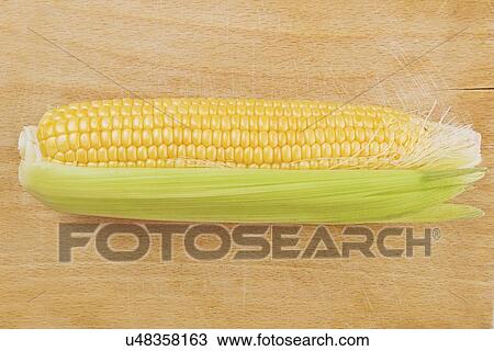 Ripe corn cob. View Large Photo Image Stock Image - Ripe corn cob.. Fotosearch