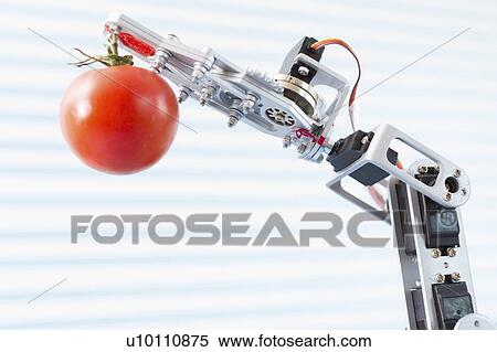 Stock Photography - Robotic arm holding tomato.. Fotosearch