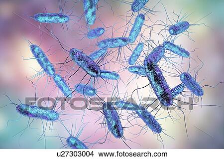 Salmonella bacteria, computer illustration. Salmonella sp. bacteria are Gram-negative rod-shaped bacteria that have flagella (hair-like structures) that they use for locomotion. They can cause food poisoning when ingested with contaminated food.... View Large Photo Image Picture - Salmonella bacteria, computer illustration. Salmonella sp. bacteria are Gram-negative rod-shaped bacteria that have flagella (hair-like structures) that they use for locomotion. They can cause food poisoning when ingested with contaminated food..... Fotosearch