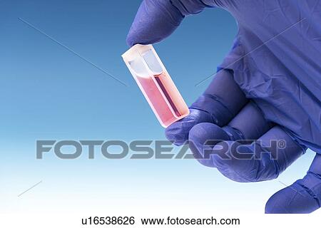 Sample in cuvette. View Large Photo Image Stock Photograph - Sample in cuvette.. Fotosearch