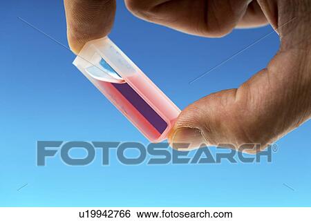 Sample in cuvette. View Large Photo Image Stock Photograph - Sample in cuvette.. Fotosearch