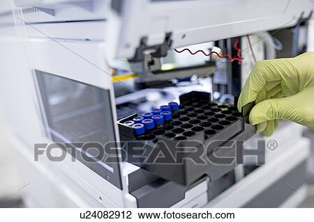 Stock Image - Samples being placed in a concentrator. This device concentrates or evaporates samples of biological material to prepare them for analysis.. Fotosearch
