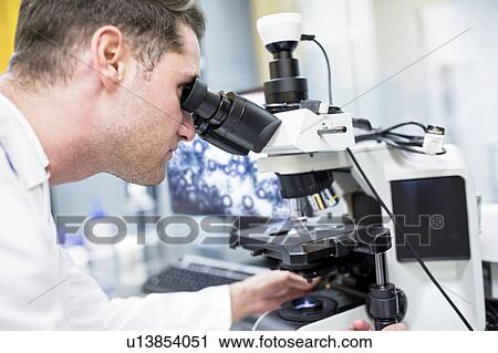 Stock Image - Scientist checking a nanofibre structure under a light microscope.. Fotosearch