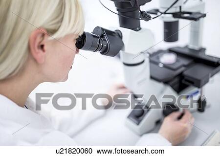 Stock Image - Scientist examining cultured cells under a microscope.. Fotosearch