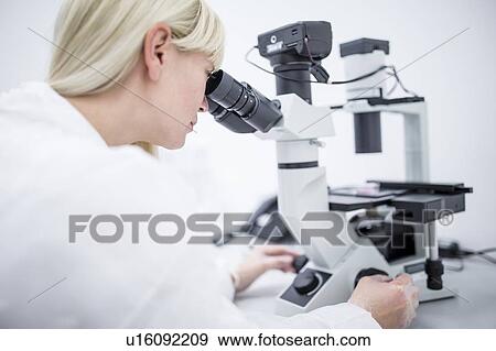 Stock Photo - Scientist examining cultured cells under a microscope.. Fotosearch