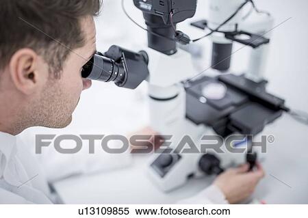 Scientist examining cultured cells under a microscope. View Large Photo Image Stock Photography - Scientist examining cultured cells under a microscope.. Fotosearch