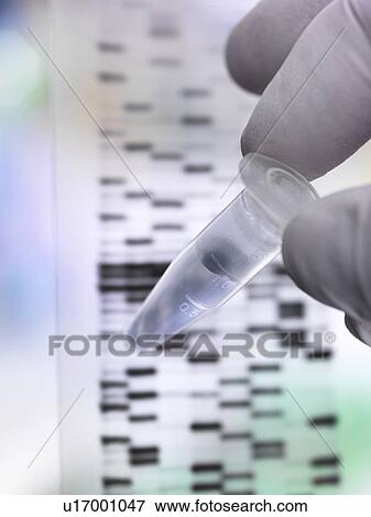 Stock Photo - Scientist holding a DNA (deoxyribonucleic acid) sample in a tube with the results illustrated on a DNA gel.. Fotosearch