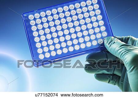 Scientist holding multiwell plate. View Large Photo Image Picture - Scientist holding multiwell plate.. Fotosearch