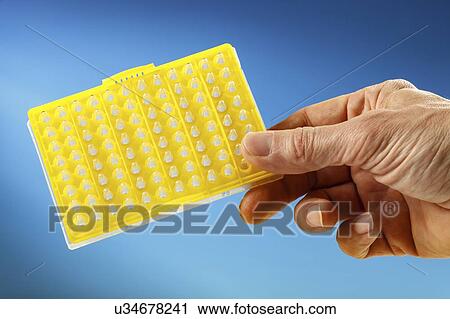 Scientist holding multiwell plate. View Large Photo Image Stock Image - Scientist holding multiwell plate.. Fotosearch