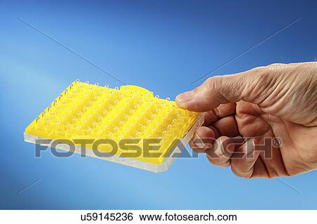 Stock Photograph - Scientist holding multiwell plate.. Fotosearch