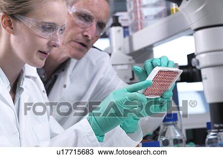 Scientist preparing a multi well plate containing blood samples for testing and analysis. View Large Photo Image Stock Image - Scientist preparing a multi well plate containing blood samples for testing and analysis.. Fotosearch