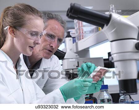 Stock Image - Scientist preparing a multi well plate containing blood samples for testing and analysis.. Fotosearch