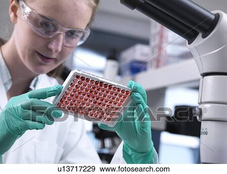 Stock Photo - Scientist preparing a multi well plate containing blood samples for testing and analysis.. Fotosearch