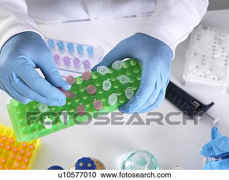 Stock Image - Scientist preparing a sample in an Eppendorf tube for chemical analysis.. Fotosearch