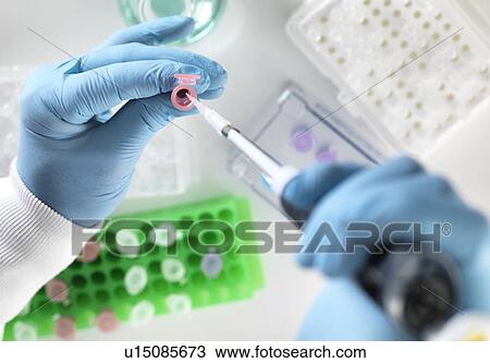 Scientist preparing a sample in an Eppendorf tube for chemical analysis. View Large Photo Image Stock Image - Scientist preparing a sample in an Eppendorf tube for chemical analysis.. Fotosearch