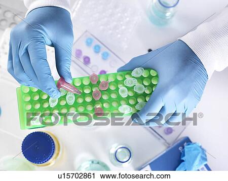 Scientist preparing a sample in an Eppendorf tube for chemical analysis. View Large Photo Image Stock Image - Scientist preparing a sample in an Eppendorf tube for chemical analysis.. Fotosearch