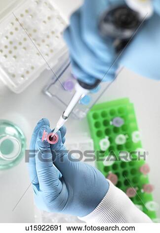 Stock Image - Scientist preparing a sample in an Eppendorf tube for chemical analysis.. Fotosearch