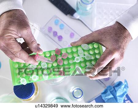 Scientist preparing a sample in an Eppendorf tube for chemical analysis. View Large Photo Image Stock Photo - Scientist preparing a sample in an Eppendorf tube for chemical analysis.. Fotosearch