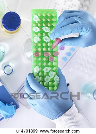 Scientist preparing a sample in an Eppendorf tube for chemical analysis. View Large Photo Image Stock Photo - Scientist preparing a sample in an Eppendorf tube for chemical analysis.. Fotosearch