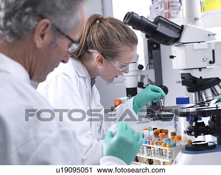 Scientists preparing a human blood sample for analysis under a light microscope. View Large Photo Image Stock Image - Scientists preparing a human blood sample for analysis under a light microscope.. Fotosearch