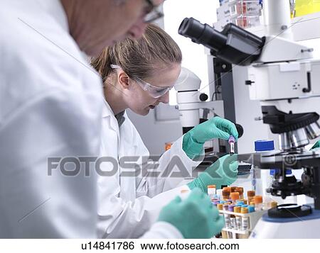 Scientists preparing a human blood sample for analysis under a light microscope. View Large Photo Image Stock Photograph - Scientists preparing a human blood sample for analysis under a light microscope.. Fotosearch
