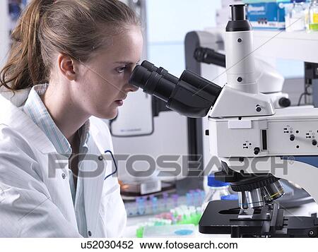 Stock Image - Scientists viewing a biological sample on a glass slide under a light microscope.. Fotosearch