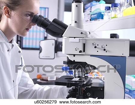Stock Photo - Scientists viewing a biological sample on a glass slide under a light microscope.. Fotosearch