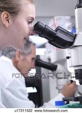 Scientists viewing a sample on a glass slide under a light microscope. View Large Photo Image Stock Image - Scientists viewing a sample on a glass slide under a light microscope.. Fotosearch