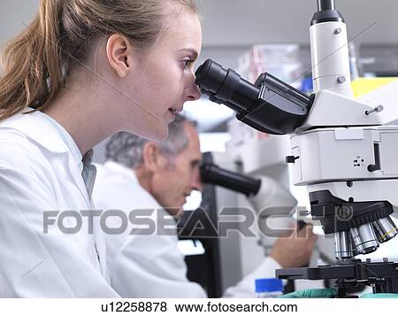 Scientists viewing a sample on a glass slide under a light microscope. View Large Photo Image Stock Photo - Scientists viewing a sample on a glass slide under a light microscope.. Fotosearch