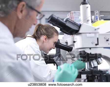 Scientists viewing a sample on a glass slide under a light microscope. View Large Photo Image Stock Photo - Scientists viewing a sample on a glass slide under a light microscope.. Fotosearch