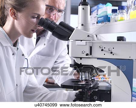 Stock Photo - Scientists viewing a sample on a glass slide under a light microscope.. Fotosearch