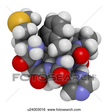 Semax peptide drug molecule. 3D rendering. Atoms are represented as spheres with conventional colour-coding: hydrogen (white), carbon (grey), nitrogen (blue), oxygen (red), sulfur (yellow). View Large Photo Image Stock Photograph - Semax peptide drug molecule. 3D rendering. Atoms are represented as spheres with conventional colour-coding: hydrogen (white), carbon (grey), nitrogen (blue), oxygen (red), sulfur (yellow).. Fotosearch
