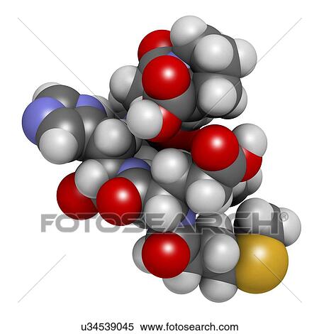 Semax peptide drug molecule. 3D rendering. Atoms are represented as spheres with conventional colour-coding: hydrogen (white), carbon (grey), nitrogen (blue), oxygen (red), sulfur (yellow). View Large Photo Image Stock Photography - Semax peptide drug molecule. 3D rendering. Atoms are represented as spheres with conventional colour-coding: hydrogen (white), carbon (grey), nitrogen (blue), oxygen (red), sulfur (yellow).. Fotosearch