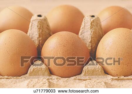 Stock Image - Six chicken eggs in cardboard carton.. Fotosearch