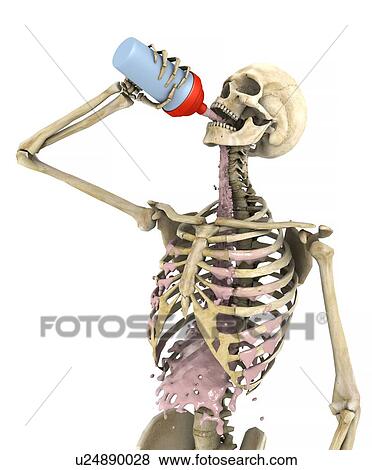Skeleton drinking protein drink, computer illustration. View Large Photo Image Stock Photo - Skeleton drinking protein drink, computer illustration.. Fotosearch