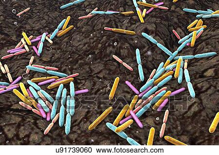 Stock Image - Soil bacteria as a source of malacidin antibiotics, conceptual illustration. Malacidins are recently discovered antibiotics produced by soil bacteria. They are active against multidrug-resistant pathogens, such as methicillin-resistant Staphylococcus.... Fotosearch