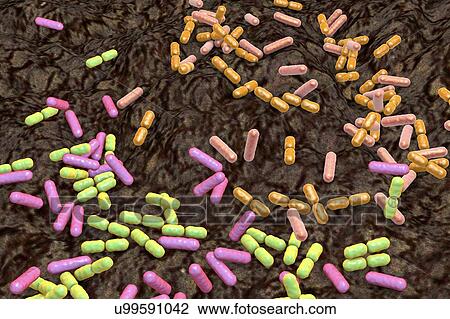 Stock Image - Soil bacteria as a source of malacidin antibiotics, conceptual illustration. Malacidins are recently discovered antibiotics produced by soil bacteria. They are active against multidrug-resistant pathogens, such as methicillin-resistant Staphylococcus.... Fotosearch