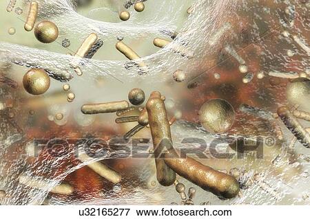 Spherical and rod-shaped bacteria inside biofilm, computer illustration. A biofilm is a colony of bacteria that forms a coating on a surface. Common places for biofilms to develop are in the mouth, where they can cause tooth cavities and gum disease,... View Large Photo Image Stock Photo - Spherical and rod-shaped bacteria inside biofilm, computer illustration. A biofilm is a colony of bacteria that forms a coating on a surface. Common places for biofilms to develop are in the mouth, where they can cause tooth cavities and gum disease,.... Fotosearch