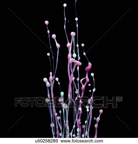 Stock Photo - Splashing paint.. Fotosearch