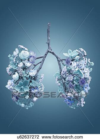 Stock Image - Spring flowers representing human lungs, conceptual studio shot.. Fotosearch