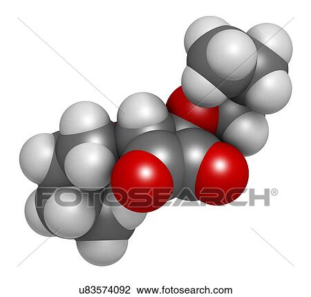 Stock Image - Squaric acid dibutyl ester drug molecule. 3D rendering. Atoms are represented as spheres with conventional colour-coding: hydrogen (white), carbon (grey), oxygen (red).. Fotosearch