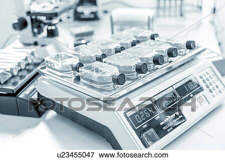 Stem cell cultures on shaker. View Large Photo Image Stock Photo - Stem cell cultures on shaker.. Fotosearch