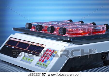 Stock Photo - Stem cell cultures on shaker.. Fotosearch