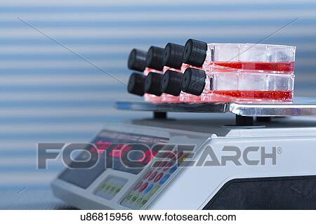 Stem cell cultures on shaker. View Large Photo Image Stock Photograph - Stem cell cultures on shaker.. Fotosearch