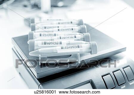 Stem cell cultures. View Large Photo Image Stock Image - Stem cell cultures.. Fotosearch