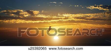 Sunrise. View Large Photo Image Stock Photography - Sunrise.. Fotosearch